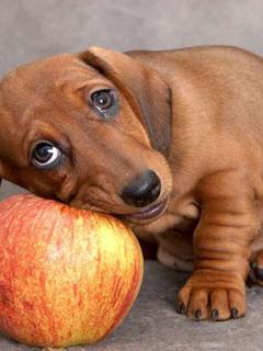 Other Wallpapers 0843